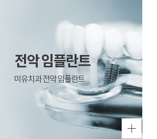전악임플란트